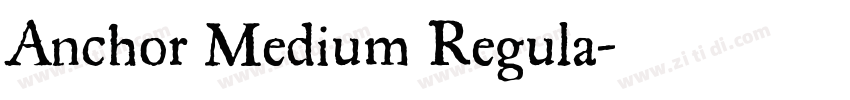 Anchor Medium Regula字体转换